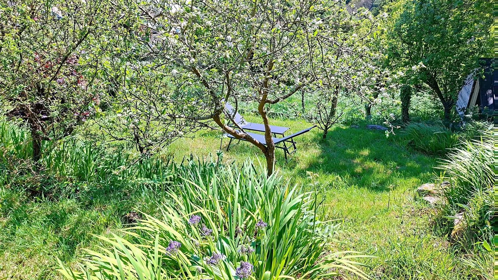 Petite Maison De Pecheur Dans Un Site Paradisiaque Ploulech 0*,  Francja